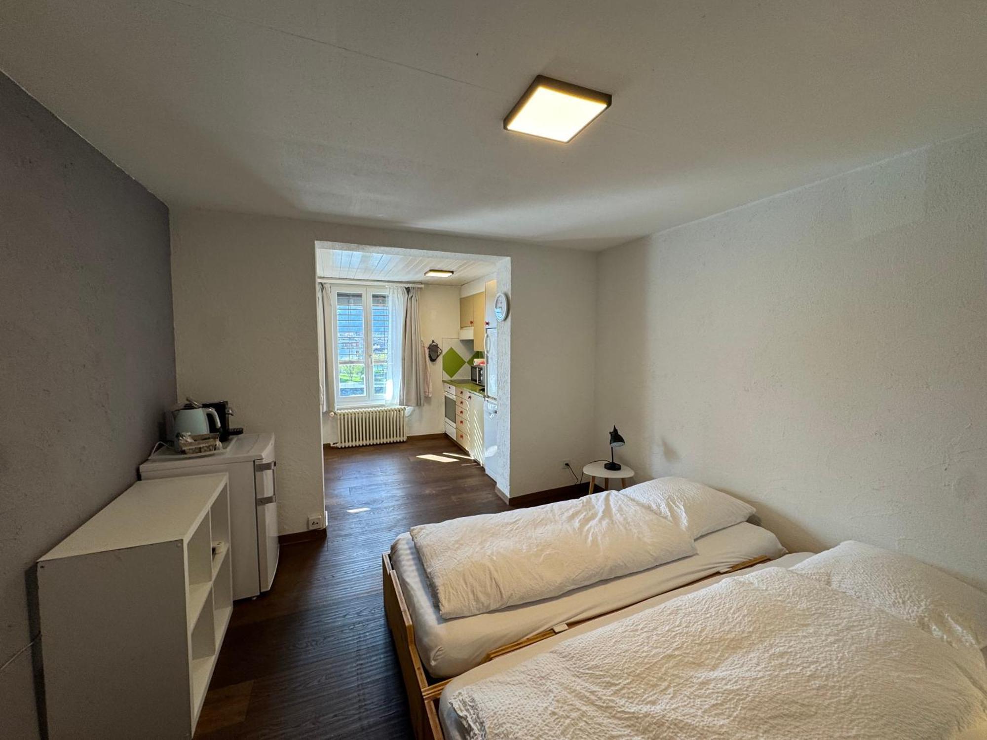 Downtown Appartement